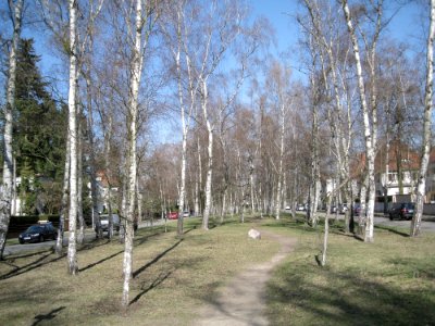 Vogelsang Birkenwäldchen Berlin-Dahlem