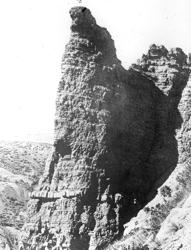 Vogels , arendshorst, Yellowstone, Amerika, Bestanddeelnr 193-0887