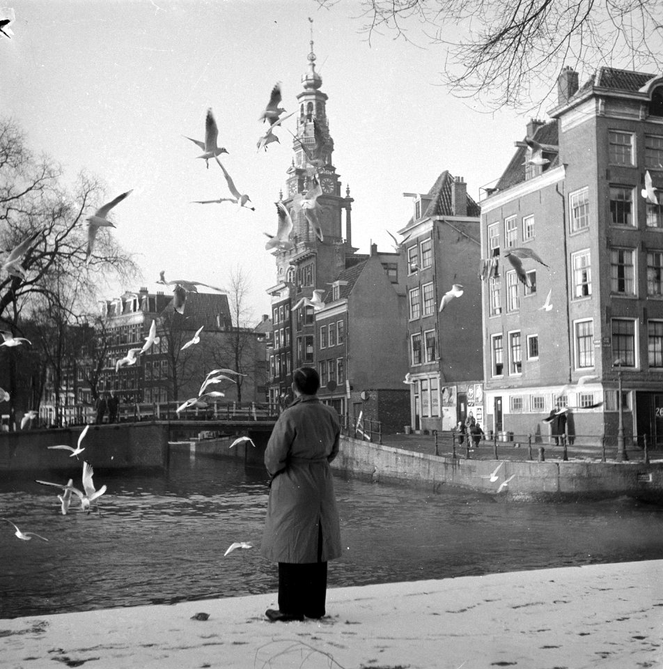 Vogels voeren met Zuiderkerk, Bestanddeelnr 906-2378