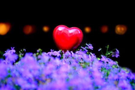 Red heart valentine's day background photo