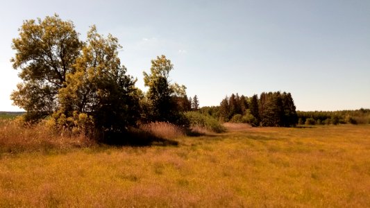Vogelschutzgebiet Lappen bei Walldürn