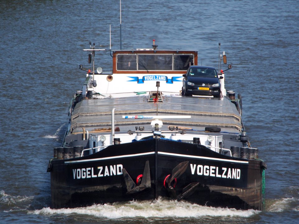 Vogelzand - ENI 03170337, Amsterdam-Rijnkanaal pic2
