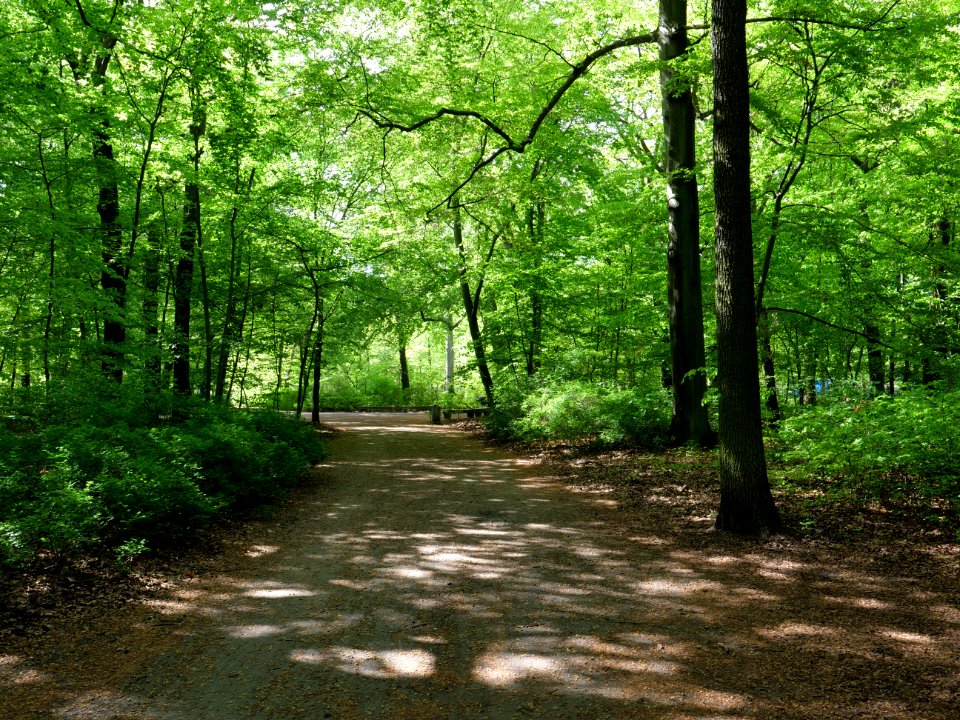Volkspark Jungfernheide 09