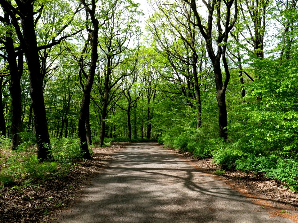 Volkspark Jungfernheide 16