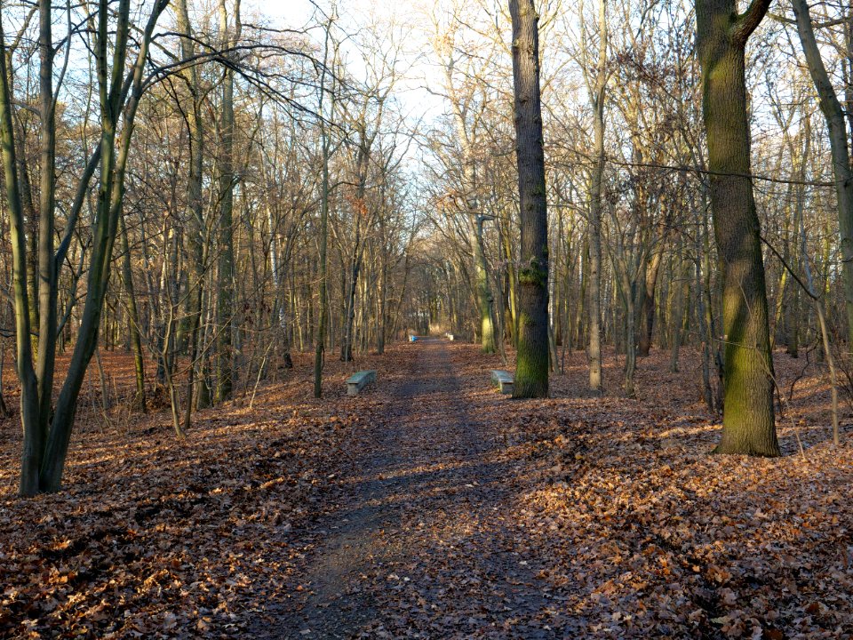 Volkspark Jungfernheide 06
