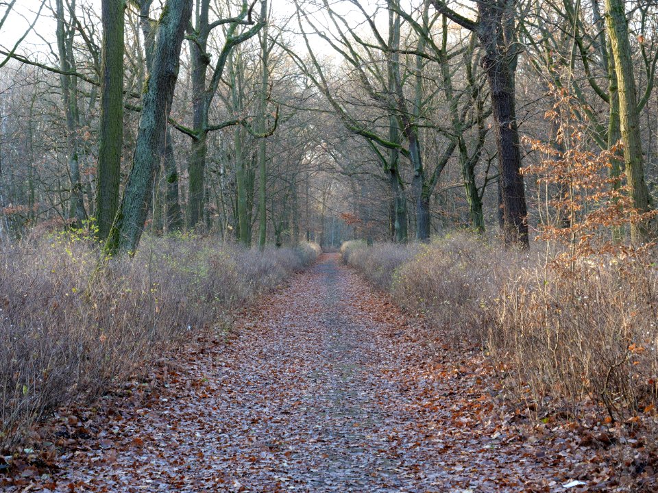 Volkspark Jungfernheide 04