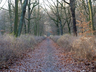Volkspark Jungfernheide 04