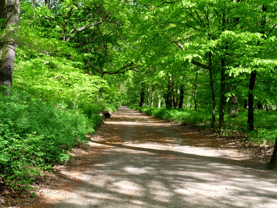 Volkspark Jungfernheide 15