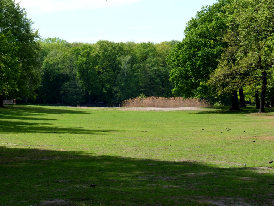 Volkspark Jungfernheide 11