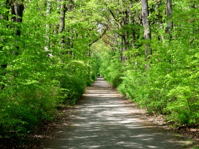 Volkspark Jungfernheide 17