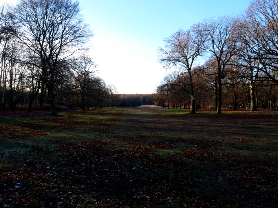Volkspark Jungfernheide 01