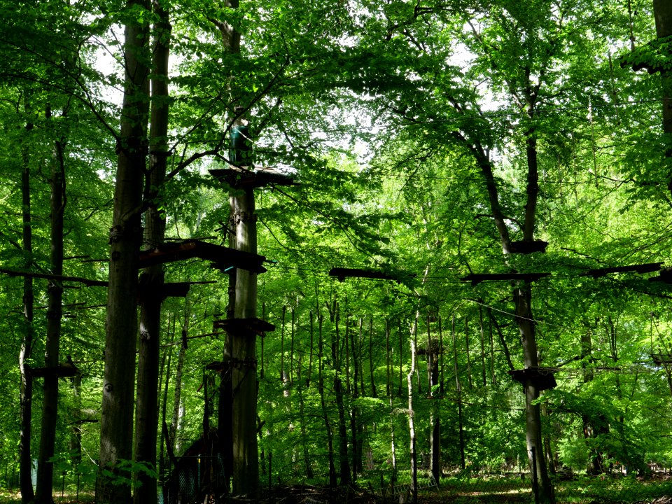 Volkspark Jungfernheide 07