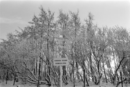 Volgermeerpolder bij Broek in Waterland leeggemalen, bordje verboden toegang ch, Bestanddeelnr 931-1943