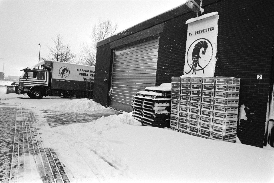 Volendams garnalenbedrijf Crevettes verzegeld in verband besmette garnalen exte, Bestanddeelnr 932-8401