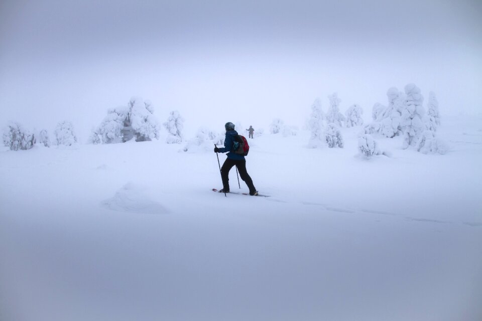 Foggy snow winter