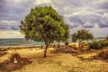 Beach nature scenery