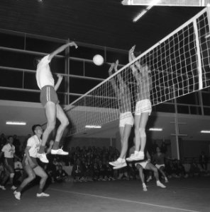 Volleybal te Tilburg, heren Nederland tegen Japan, spelmoment, Bestanddeelnr 916-5698