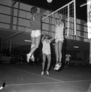 Volleybal te Tilburg, dames Nederland tegen Frankrijk 3-0 spelmoment in nieuwe s, Bestanddeelnr 916-5700
