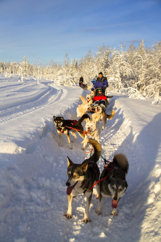 Winter snow finland