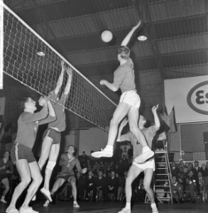 Volleybal Belgie tegen Nederland 3-2, spelmoment, Bestanddeelnr 918-5823