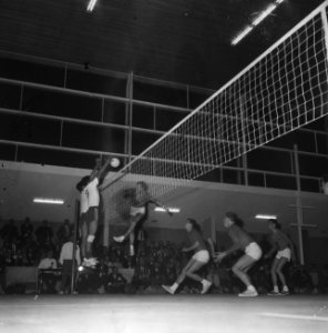 Volleybal te Tilburg, heren Nederland tegen Japan, spelmoment, Bestanddeelnr 916-5696
