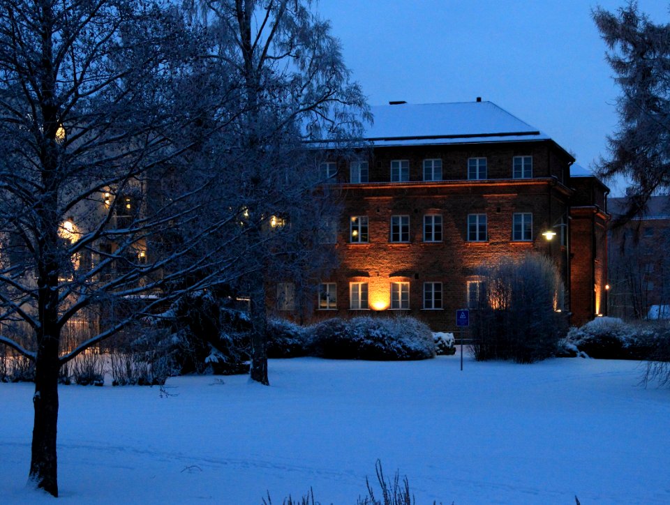 Volla Lasaretinsaari Oulu 20141225