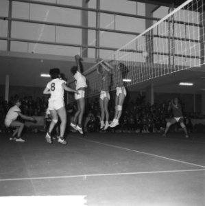 Volleybal te Tilburg, dames Nederland tegen Frankrijk 3-0 spelmoment, Bestanddeelnr 916-5702