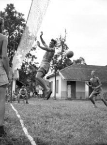 Volleybalwedstrijd, Bestanddeelnr 13182