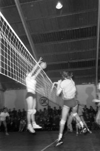 Volleybal Dames, Valboval tegen Akademik Sofia (Bulgarije) om de Europacup te Wo, Bestanddeelnr 922-2455