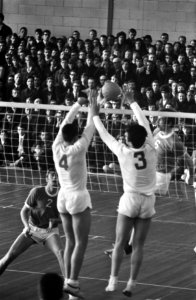 Volleybal Blokker tegen Dynamo 1-3. Spelmomenten, Bestanddeelnr 921-1703