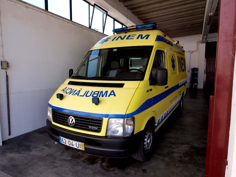 Volkswagen TDI, Bathala pic1