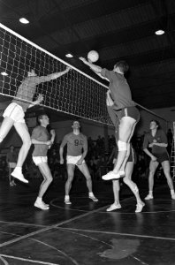 Volleybal Belgie tegen Nederland 3-2, spelmoment, Bestanddeelnr 918-5824