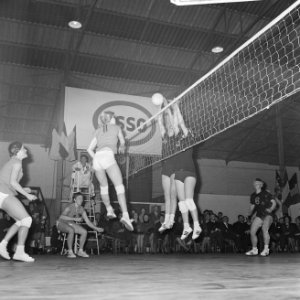 Volleybal dames Belgie tegen Nederland 1-3, spelmoment, Bestanddeelnr 918-5817