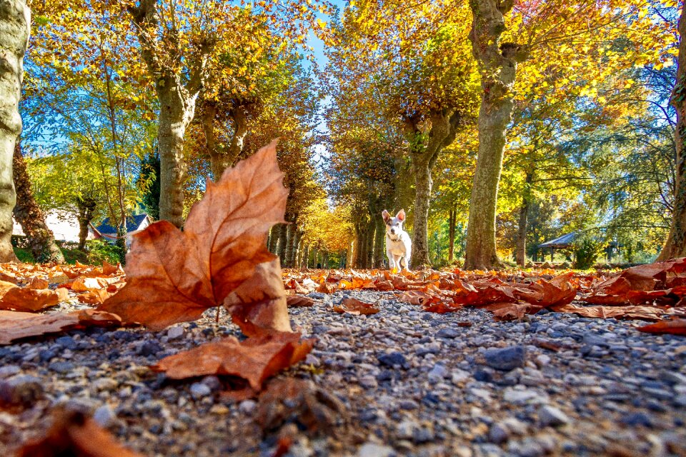 Season park outdoor