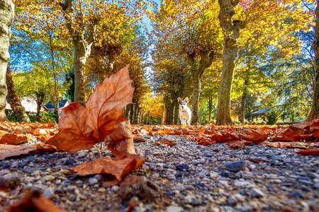 Season park outdoor