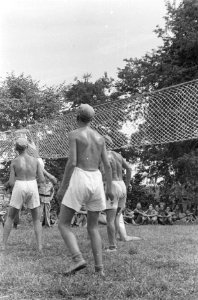 Volleybal, Bestanddeelnr 252-5-3
