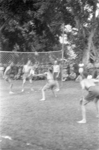 Volleybal, Bestanddeelnr 112-4-3