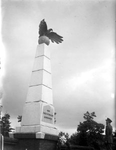 Vliegermonument op Soesterberg onthuld door Prins Bernhard, Bestanddeelnr 902-8246