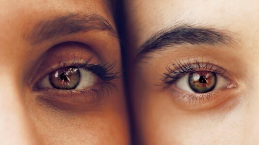 Eyebrows iris eyeball
