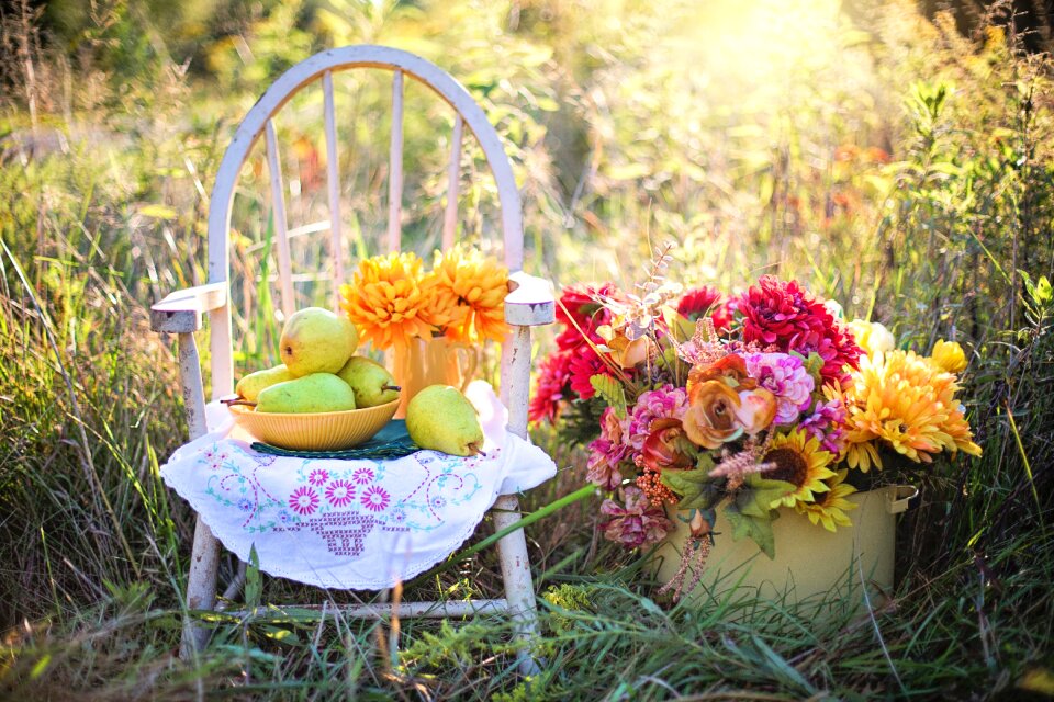 Life pears flowers photo