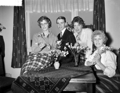 Vlnr Rini, Han, Dorothea en Elly, Bestanddeelnr 911-0064