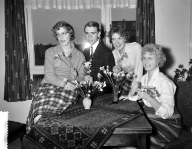 Vlnr Rini, Han, Dorothea en Elly, Bestanddeelnr 911-0063