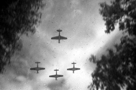 Vliegtuigen in de lucht, Bestanddeelnr 409