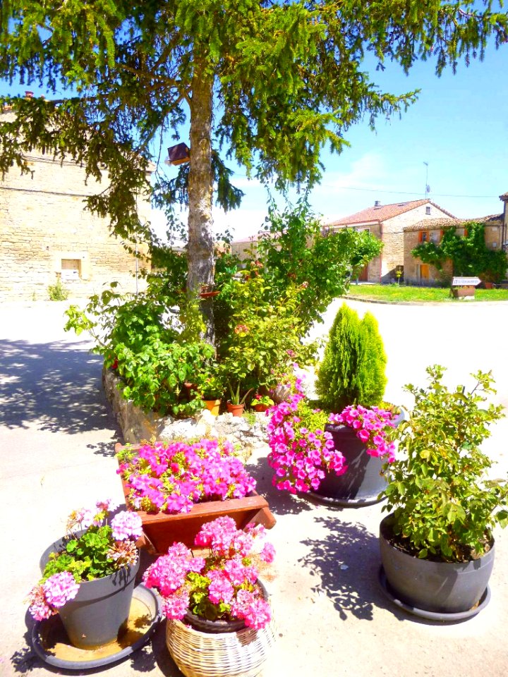Vivar del Cid 32