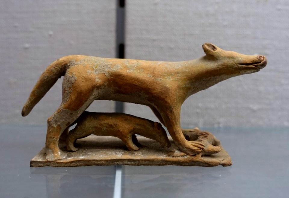 Vixen and young, Boetia, late 6th century BC, H 693 - Martin von Wagner Museum - Würzburg, Germany - DSC05744