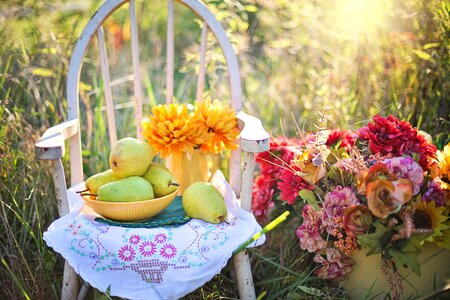 Life pears flowers photo