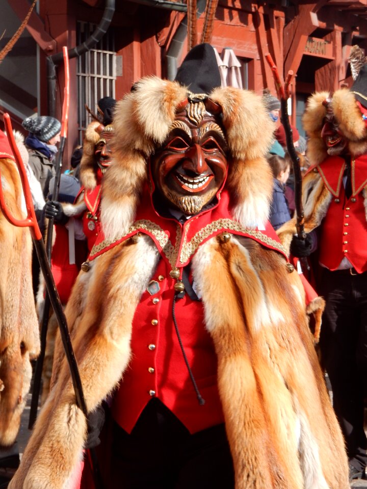 Festival carnival larva