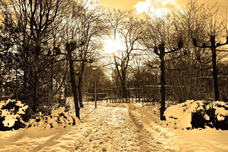 Snowy footpath park winter