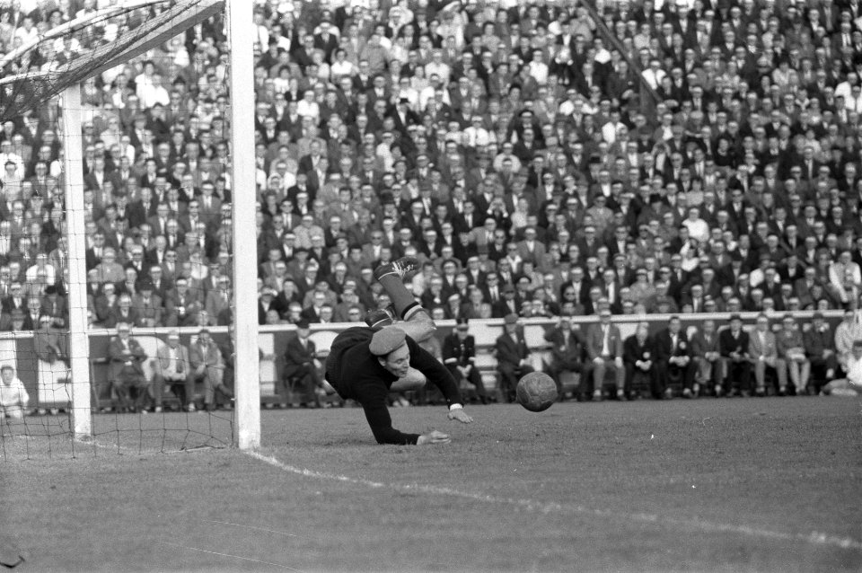 Voetbal Belgie tegen Nederland 1-4 te Antwerpen, spelmoment, de Belgische keeper, Bestanddeelnr 911-6406