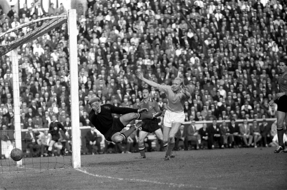 Voetbal Belgie tegen Nederland 1-4 te Antwerpen, 1-3, eigen doelpunt van Saeys (, Bestanddeelnr 911-6402